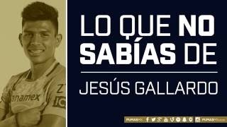 Lo que no sabías de Jesús Gallardo. ?