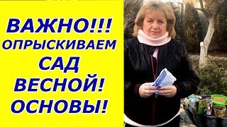 Учимся опрыскивать сад весной . ОСНОВА!