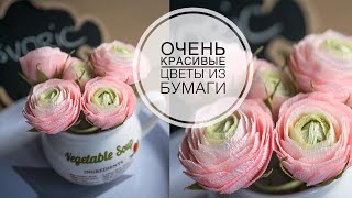 Ранункулюсы из бумаги DIY Tsvoric Ranunculus from paper