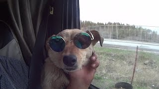 Volvo VNL пропало давление масла