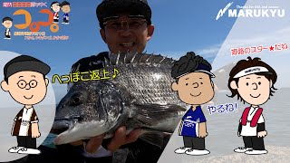 フカセorかかりorウキダンゴ、どの釣り方でチヌが釣れる？真夏の沖堤防でのチヌ狙い～堤防コロコロ隊が行く　後編