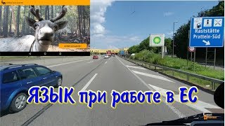 Языковые барьеры при работе Дальнобой в ЕС