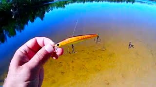 Воблер Tsuribito Smash Minnow 90sp,отзыв и видео игры под водой на водоеме!
