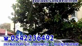 Автомобили в Израиле 1 рука б/у до 40-60 тыс шек тел 0542236492