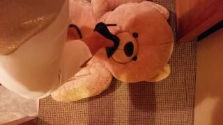 Teddy bear trample/crush