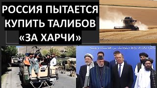 Россия пытается купить афганских талибов "за еду"?
