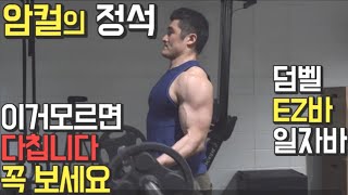 누구도 알려주지 않은 암컬 통증의 원인! 손목, 팔꿈치, 어깨 통증이 있다면 꼭 시청! (체형에 맞는 일자바, EZ바,덤벨 선택및 올바른 자세)[트리거15초]