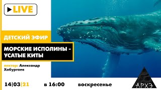 Детский эфир "Морские исполины - усатые киты" в рамках рубрики "Путешествия с натуралистом"