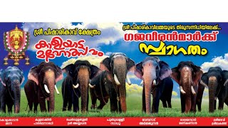 Pisharikavu Kaliyattam 2019 - Gajaveeranmar