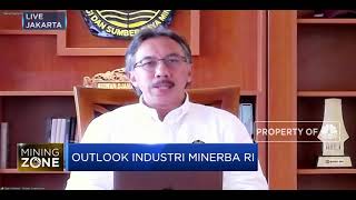 Kementerian ESDM Pastikan Kemudahan Investasi Smelter, Ini Syaratnya