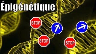 Il n'y a pas que les gènes dans la vie ! L'épigénétique, avec P'tite Jane — Science étonnante #54