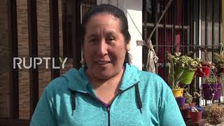 My big pet rodent! Capybara trades wetlands for family home in Argentina