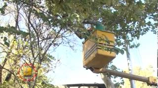 Ծառերի էտ - TV programm "MAYRAQAGHAQ" - 03.11.2012