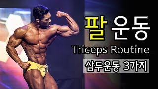 [팔운동] '삼두운동' 3가지만 알면 나도 삼두 마스터 !!