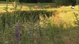 Golf- & LandClub Gut Uhlenhorst