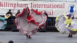 Billingham International Folklore Festival 2014 - Mexico - Recreacion