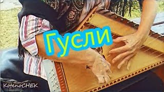 Мир вокруг : Как звучат гусли ?