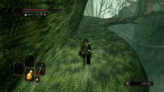 DarkSoulsII Венгарл кольцо клоранти1 Нажка