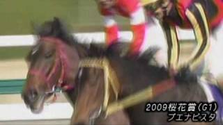 '08～'09に活躍した牝馬で資生堂シャンプーTSUBAKIのCM（競馬MAD）