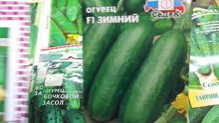 Как вырастить огурец на окне или балконе? 