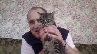 СПАС ЖИЗНЬ КОТЕНКУ // ЕСТЬ ПЛОХИЕ ЛЮДИ