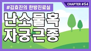 54. 워킹맘의 난소물혹,자궁근종 ( 꼭 들어보세요 : 치료에 관한 중요한 마음가짐 )