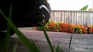 Стоковый выхлоп BMW E39 530DA