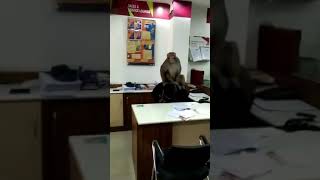Live CCTV recording for rape in Axis Bank