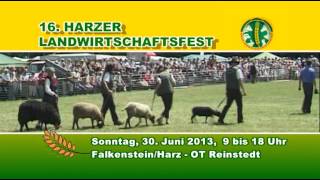 16. Harzer Landwirtschaftsfest Reinstedt 2013