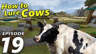 Episode 19 How to Lure Cows | Survival Craft 2