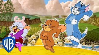 Tom & Jerry in italiano | Tom & Jerry Arrivano Ad Oz | WB Kids
