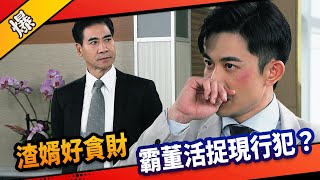 《八點檔搶先爆》市井豪門 EP183 渣婿好貪財 霸董活捉現行犯？