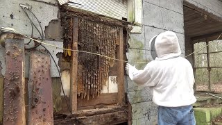 4x4 winter bee hive removal and relocation