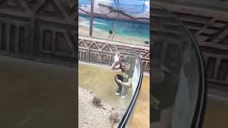 Сэм Селезнев в прямом эфире 01 04 2019  Сафари парк часть 1
