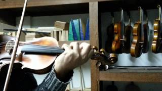Violino Stradivárius Harmonizado. Luthier Carlos Joseph