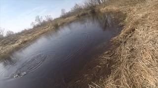 Ловля крупной сороги,видео rybachil.ru