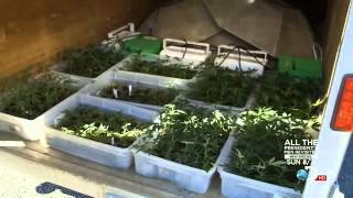 Pot.Cops.S01E02 (1)