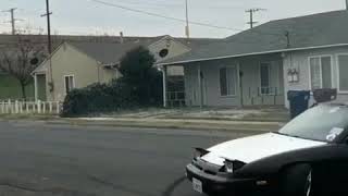 Street Sharking ?