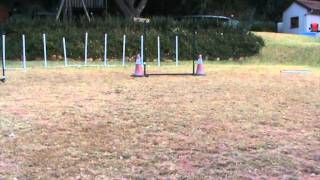 Spy Agility Foundation Tip and Tuck  1 jump, 5 July 2