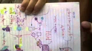 Video webcam từ 03:22 (UTC) Ngày 07 tháng 08 năm 2015