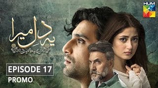 Ye Dil Mera | Episode 17 | Promo | Ahad Raza Mir & Sajal Aly | HUM Dramas