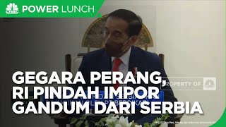 Dampak Perang Rusia, RI Mau Impor Gandum dari Serbia