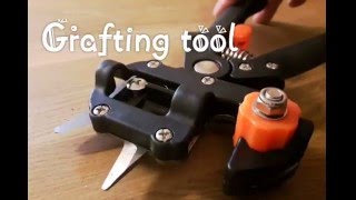 Demo of neat grafting tool