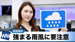 お天気キャスター解説 あす 11月22日(月)の天気