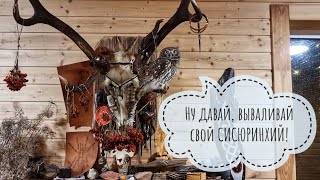 Распаковка второй посылки, обзор растений из Garden Plants. Сомнительные растения, обратная связь