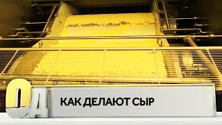Как делают сыр