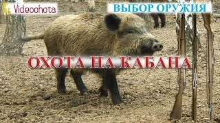 Охота на кабана! Выбор оружия - Videoohota