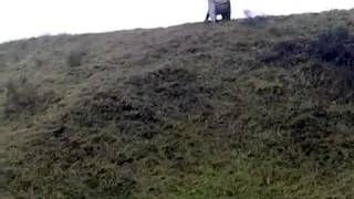 Два дурака и бухта от кабеля