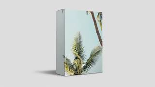 CLOUD LORD 2 | R&B x TrapSoul Sample Kit 2018 | 25 Sample Chops