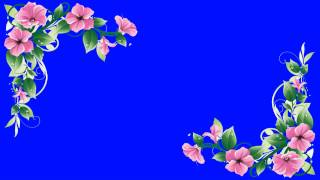 beautiful photo border in blue screen free stock footage
